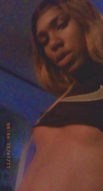 7169411462, transgender escort, Buffalo