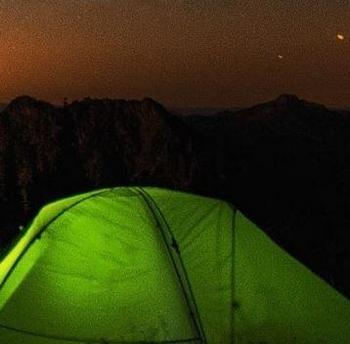 7168978645, transgender escort, Buffalo