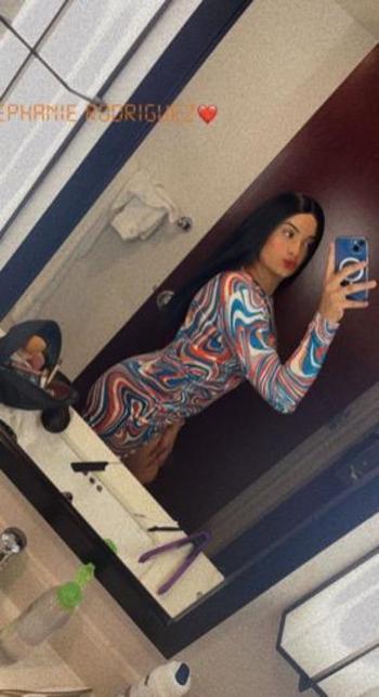 7163053416, transgender escort, Buffalo